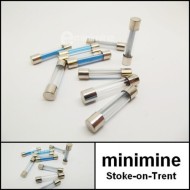  10AMP Glass Fuse Set of 10 