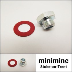 Alloy Inlet Manifold Blanking Plug & Fibre Washer