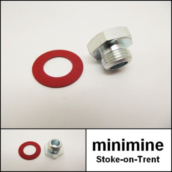 Alloy Inlet Manifold Blanking Plug & Fibre Washer