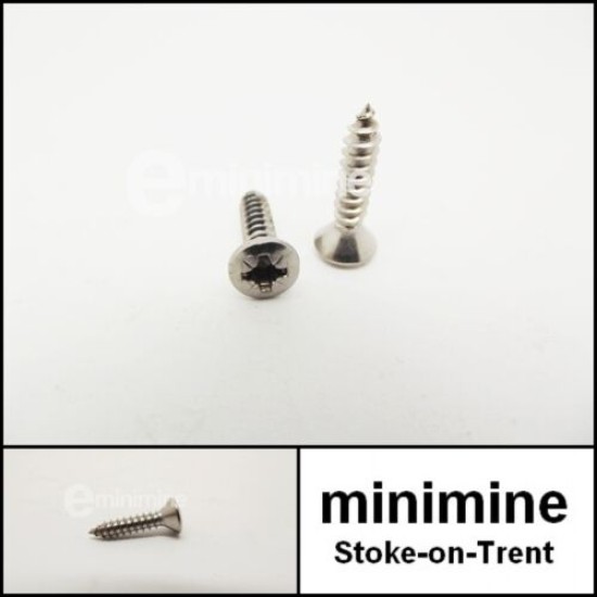 Headlight Retaining Ring Screws Stainless Steel PAIR