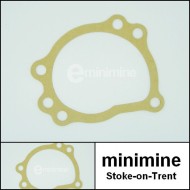 Water Pump Gasket